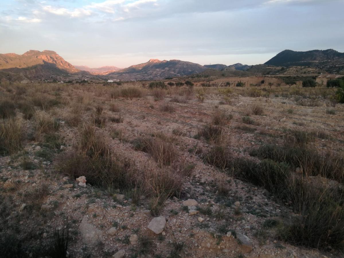 18-10-2019_IMG-20191017-WA0066 - copia.jpg